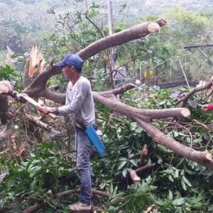 Brgy. Anilao East Clearing Operation